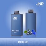 Mega Box 25000 puffs - Image 15